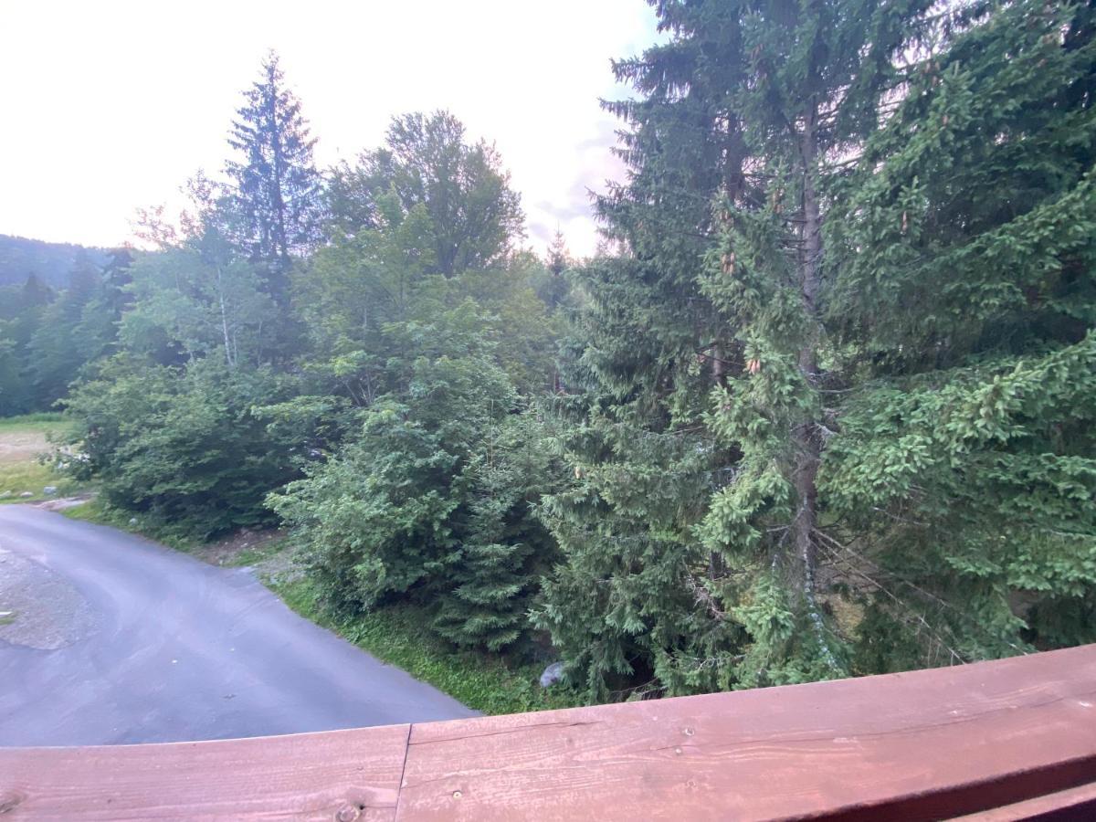 Tale Apartman 9, Lucnica, Chopok Juh Buitenkant foto